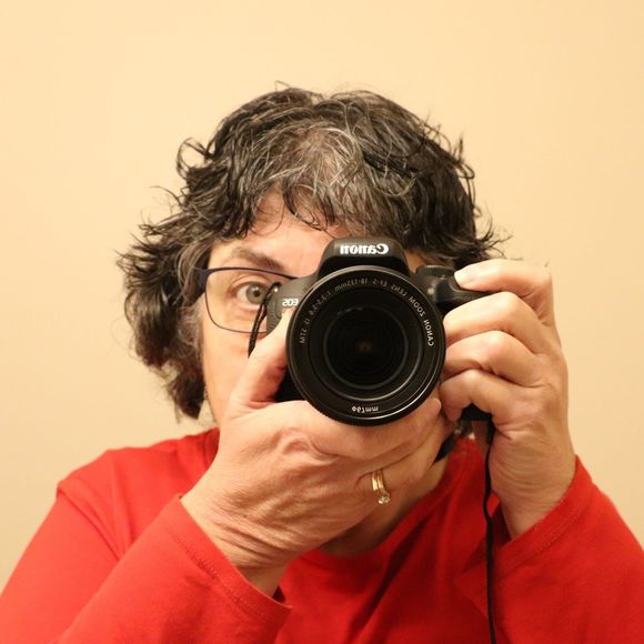 Meet your Posher, Irene - Picture 1 of 1